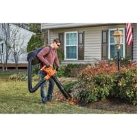 Souffleur/aspirateur/broyeur de feuilles 3-en-1 VacPack, Vitesse d'air 250 mi/h, &eacute;lectrique Cintas