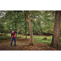 2-in-1 Pole Chainsaw Cintas