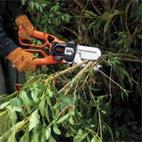 Alligator&reg; Lopper Cintas