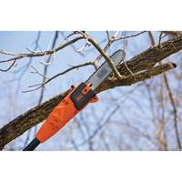 9-1/2' Pole Saw Cintas