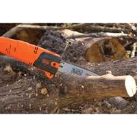 9-1/2' Pole Saw Cintas