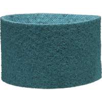 Scotch-Brite Surface Conditioning Belt Cintas