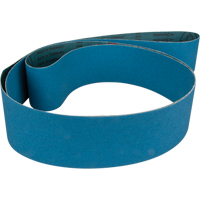 Blue Abrasive Belt Cintas