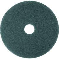 Cleaner Pad, 13", Scrubbing, Blue Cintas