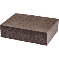 Small Area Sanding Sponge Cintas