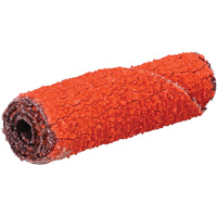 Rouleau de cartouche Blaze R920, 60 Grain, 3/8" dia., C&eacute;ramique d'alumine, 1-1/2" lo, 1/8" Dimension de l'arbre Cintas
