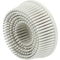 Disque en soies Scotch-Brite, C&eacute;ramique, Grain P120, 2" dia. Cintas