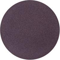 Disque de ponçage en tissu PSA Metalite, 10" dia., Grain 36, Oxyde d'aluminium Cintas
