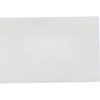 Tampons manuels Bear-Tex, Non abrasif, 9" x 6" Cintas