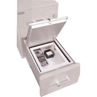 Data Protection Media Safes Cintas