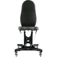 Flex III Ergonomic Chair Cintas