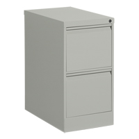 Classeur vertical, Acier, 2 tiroirs, 15-1/7" la x 25" p x 29" h, Gris Cintas