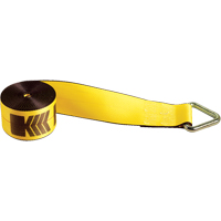 Winch Straps, Delta Ring, 4" W x 30' L, 5400 lbs. (2450 kg) Working Load Limit Cintas