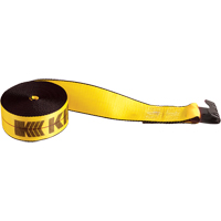 Winch Straps, Flat Hook, 4" W x 30' L, 5400 lbs. (2450 kg) Working Load Limit Cintas