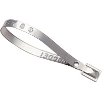 Scell&eacute;s Guard Lock, 8-3/8", M&eacute;tal, Scell&eacute; pour camion Cintas
