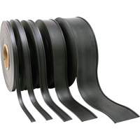 Card Holder, Magnetic, 600" L x 2" W Cintas