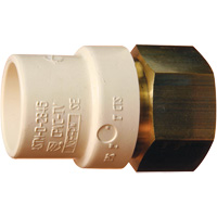 Threaded Pipe Adapter, Hub x FPT, 1" Dia., Brass/CPVC Cintas