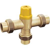 Adjustable Temperature Thermostatic Mixing Valve Cintas