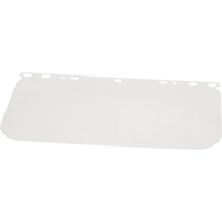 Visi&egrave;re Matrix II, Polycarbonate, Teinte Transparent Cintas