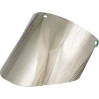 &eacute;cran facial moul&eacute;, Polycarbonate, Teinte Vert Cintas