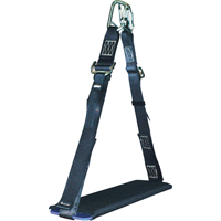Bosun Chair Cintas