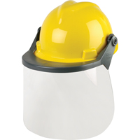 Head & Face Protection Systems Cintas