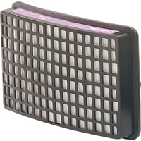 Protection respiratoire Speedglas - Filtres et cartouches de recharge, Filtre P100, Paquet de 2 Cintas