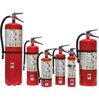 Fire Extinguisher, ABC, 30 lbs. Capacity Cintas