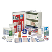Workplace Deluxe First Aid Kits, Class 1 Medical Device, Metal Box Cintas