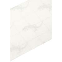 Ruban antid&eacute;rapant de premi&egrave;re qualit&eacute;, 4" x 60', Transparent Cintas