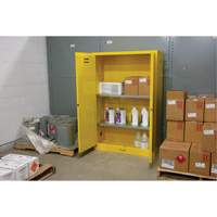 Flammable Storage Cabinet, 45 gal., 2 Door, 43" W x 65" H x 18" D Cintas