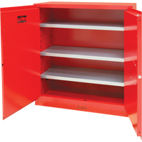 Paint/Ink Cabinet, 45 gal., 3 Shelves Cintas