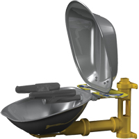 Postes de douche oculaire/faciale Halo, Installation Montage mural, Bol Acier inoxydable Cintas