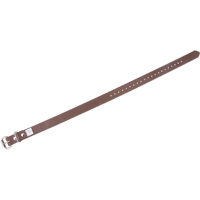 Leg Straps Cintas