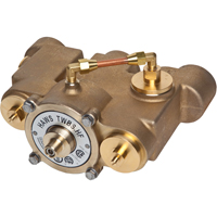 Vannes de m&eacute;lange thermostatique, 78 gal./min Cintas
