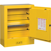 Mini-armoires de s&eacute;curit&eacute; Sure-Grip EX pour produits inflammables, 2 gal., 1 Porte(s), 17" La x 22" h x 8" p Cintas