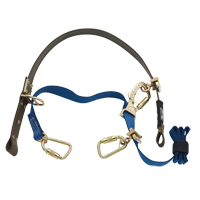 Cynch-Lok Web Pole Climbing Device Cintas