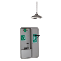 Eye/Face Wash and Shower, Ceiling-Mount Cintas