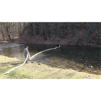SpillBoa Bale, Oil Only, 25' L x 5" W, 28 gal. Absorbancy, 4 /Pack Cintas