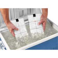 Sachets pour veste de refroidissement &agrave; changement de phase 6260 Chill-Its Cintas