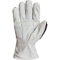 Gants r&eacute;sistant &agrave; la coupe et aux chocs Endura 378GKGVBE, Petit, Paume en Ch&egrave;vre, Poignet Conducteur Cintas