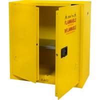 Flammable Storage Cabinet, 30 gal., 2 Door, 43" W x 44" H x 18" D Cintas