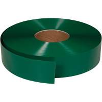 Ruban de marquage tr&egrave;s r&eacute;sistant pour plancher ArmorStripe, 2" x 100', PVC, Vert Cintas