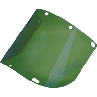 &eacute;cran facial form&eacute; Dynamic, Polycarbonate, Teinte Vert Cintas