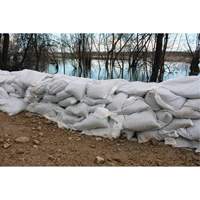 Sandbag Cintas