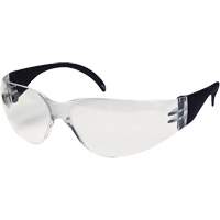 CeeTec Safety Glasses, Clear Lens, Anti-Fog/Anti-Scratch, Meets/Exceeds CSA Z94.3 Cintas