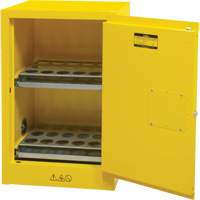 Flammable Aerosol Storage Cabinet, 12 gal., 1 Door, 23" W x 35" H x 18" D Cintas