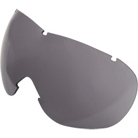 Lentille de rechange pour les lunettes de s&eacute;curit&eacute; &agrave; coques Uvex Sub-Zero, Antibu&eacute;e/anti-&eacute;gratignures, Gris, Uvex Sub-Zero Cintas