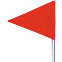 Drapeaux de neige