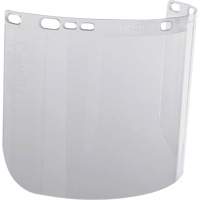 Visi&egrave;re moul&eacute;e transparente F20 Cintas